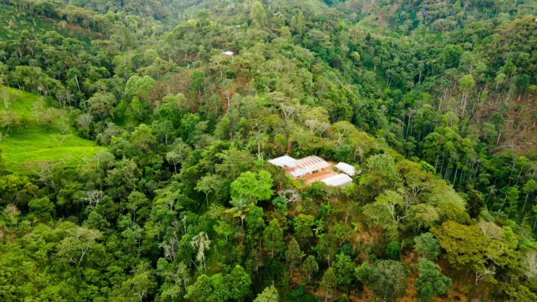 Vista aerea de las fincas cafetaleras
