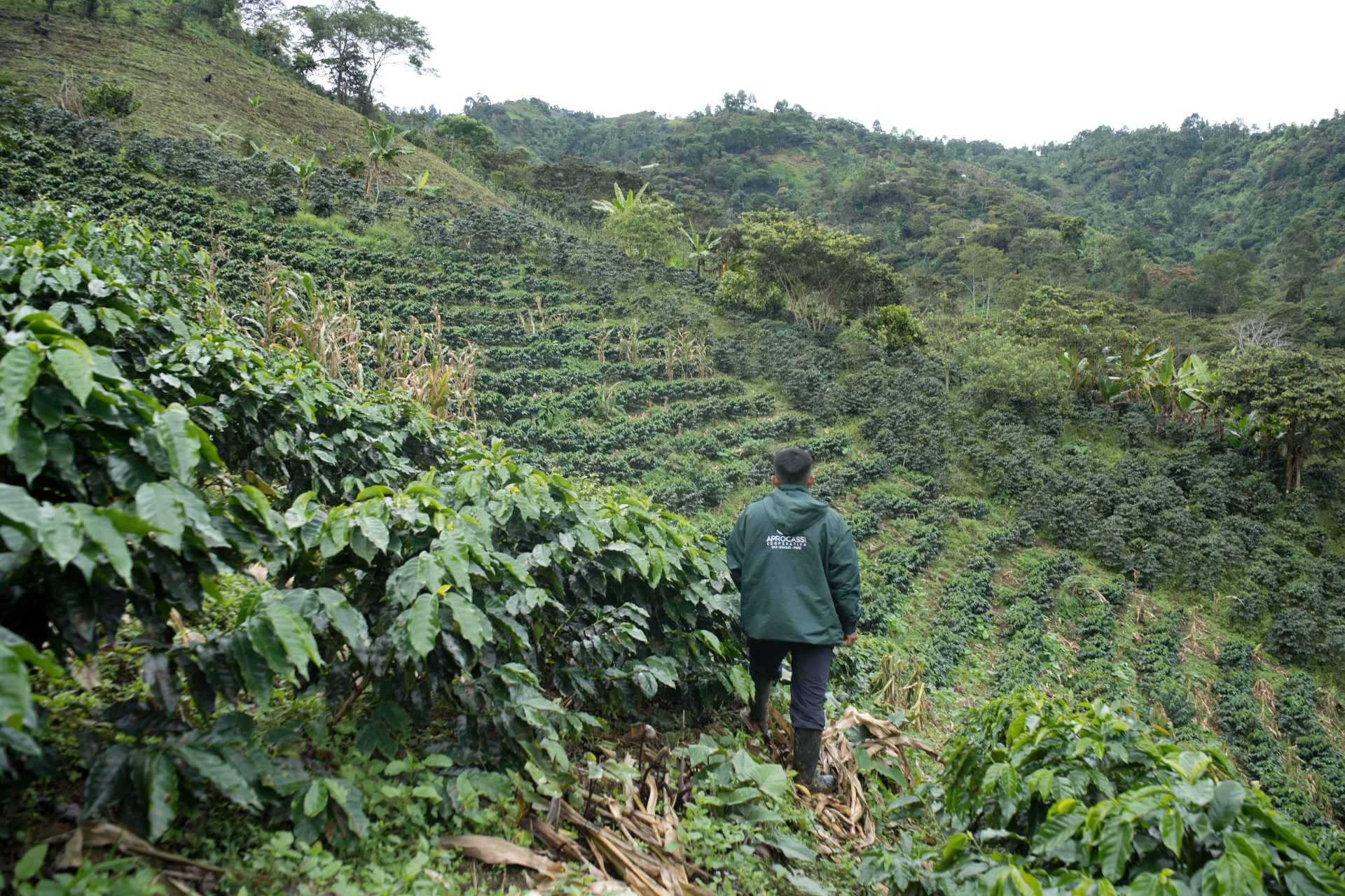 ECO FINCAS paisajes